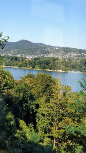 IMG-20200808-WA0013